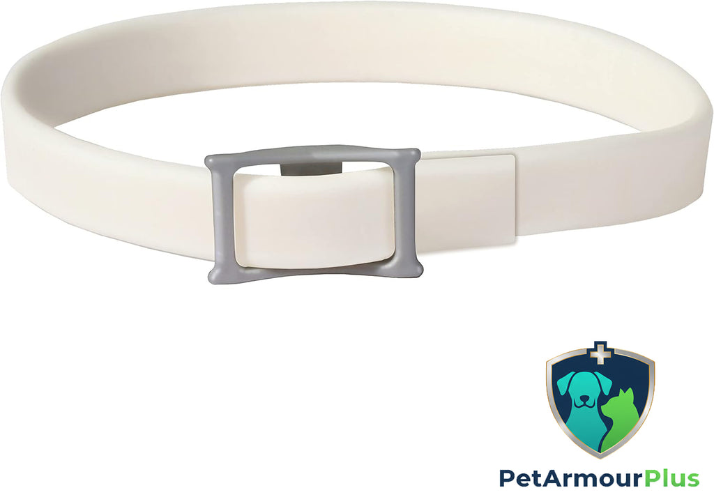 Shield Your Dog from Fleas, Ticks, and Irritating Bites for 8 Months with Pet Armour Plus