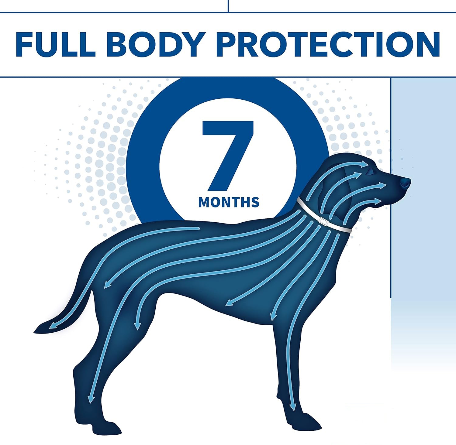 Shield Your Dog from Fleas, Ticks, and Irritating Bites for 8 Months with Pet Armour Plus